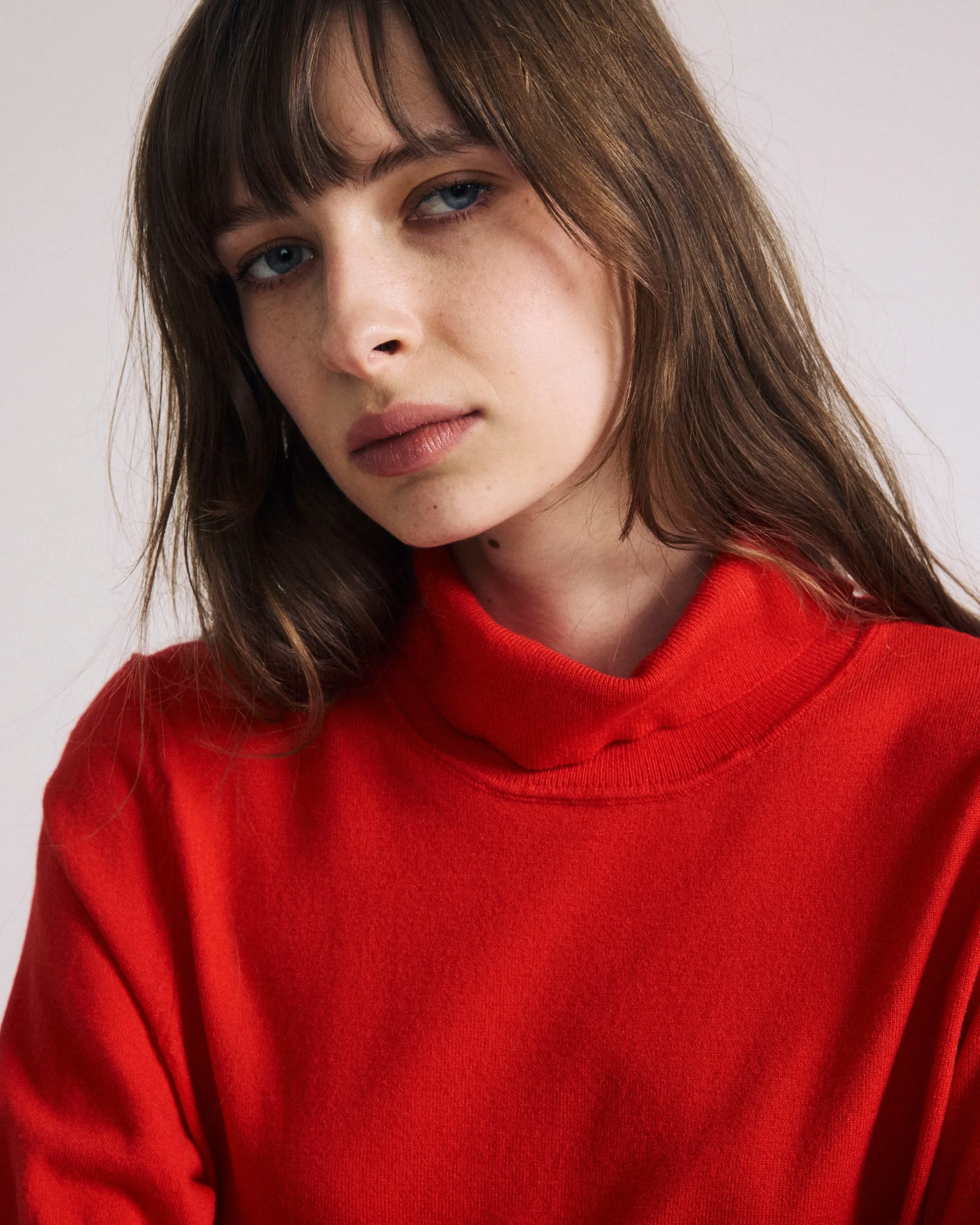 Savvy Fine Knit Turtleneck Sweater Top Lipstick