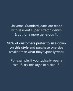Seine High Rise Straight Leg Jean 29 Inch Dark Indigo