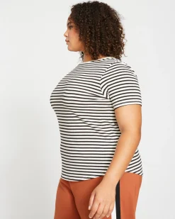 Tee Rex Ecru/Black Stripe